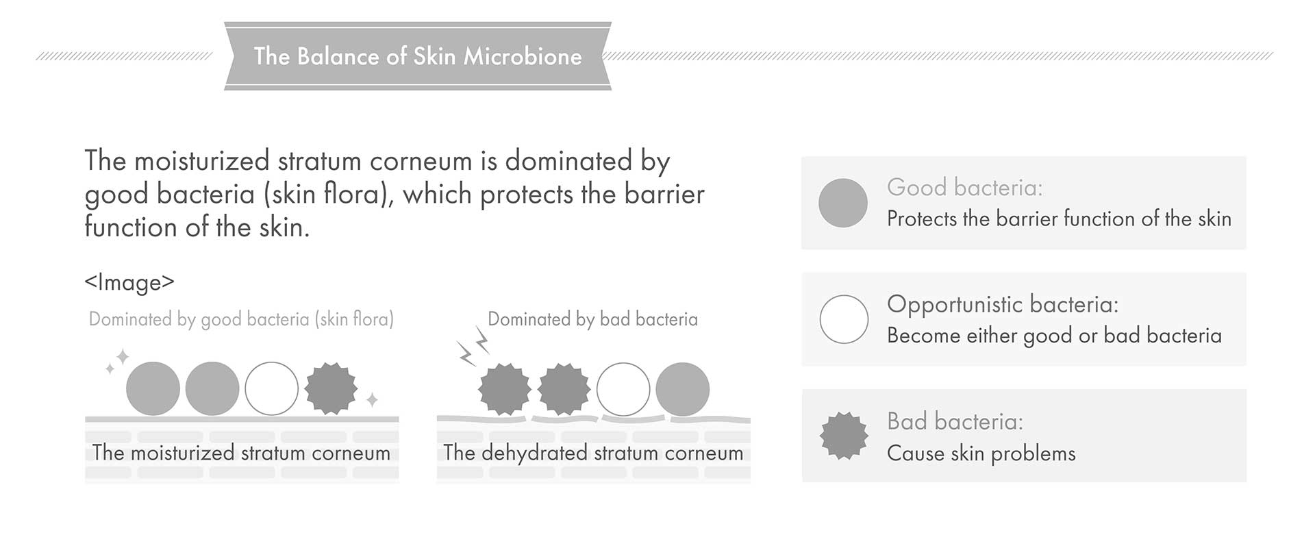 The Balance of Skin Microbiome
