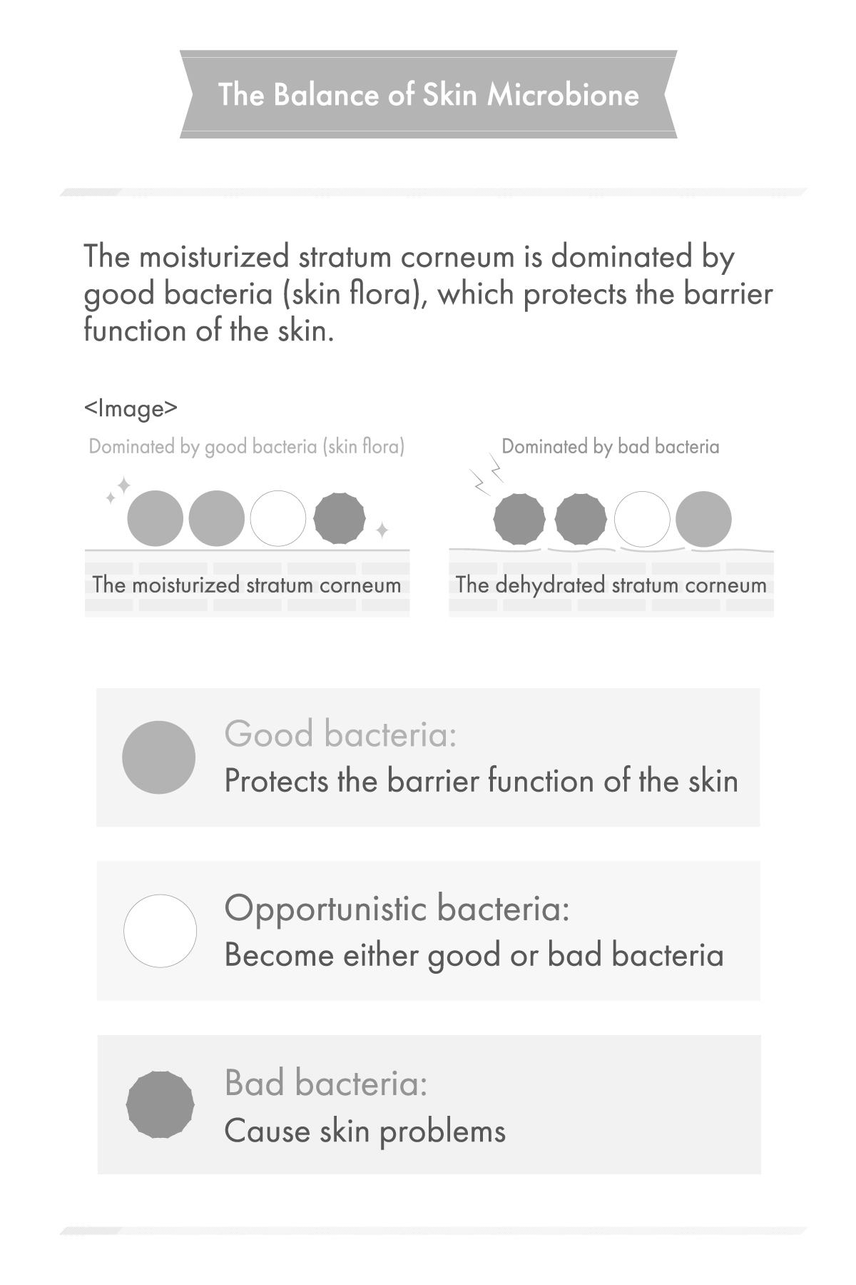 The Balance of Skin Microbiome