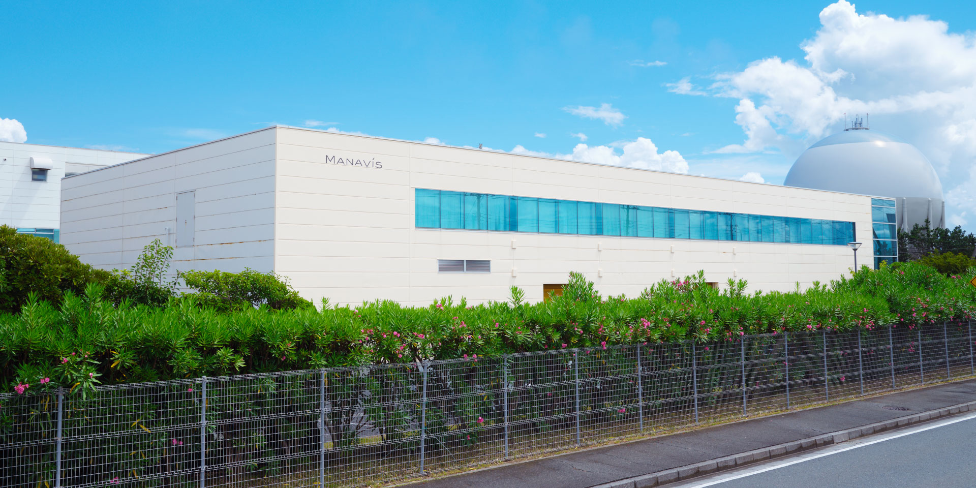 Company Profile